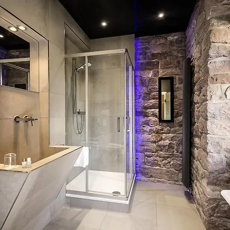 酒店 普鲁士国王酒店 3*