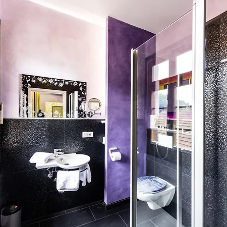 酒店 普鲁士国王酒店 Marxzell