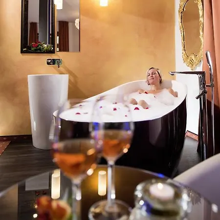 酒店 普鲁士国王酒店 3*