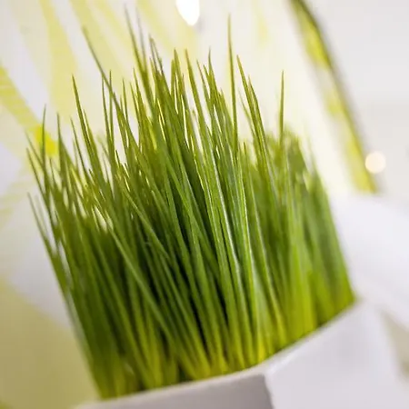 酒店 普鲁士国王酒店