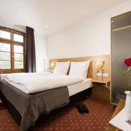 普鲁士国王酒店 3* Marxzell