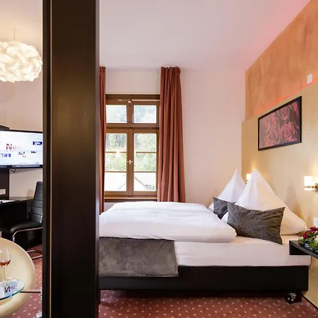 酒店 普鲁士国王酒店 3*