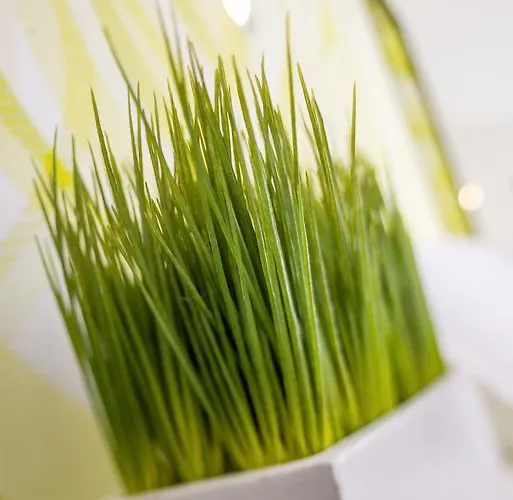 호텔 Landgasthof Koenig Von Preussen